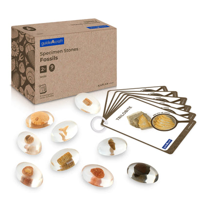 Specimen Stones