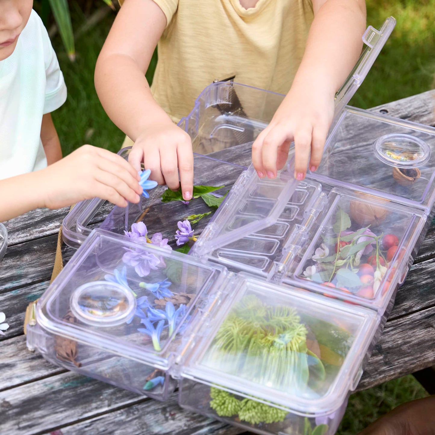 Traveling Treasures Discovery Lab
