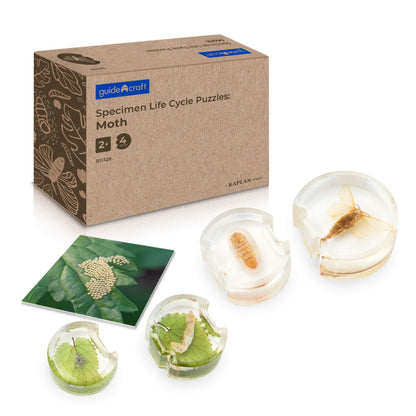 Specimen Life Cycle Puzzles